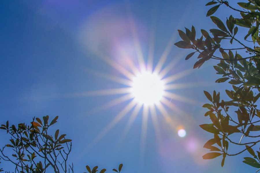 子里, 直被视为男, 次击杀 子里, 直被视为男, 次击杀